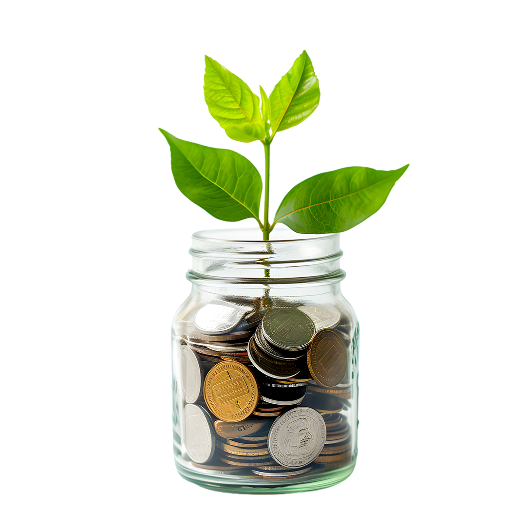 Susu Savings Account - Daily Savings Made Easy